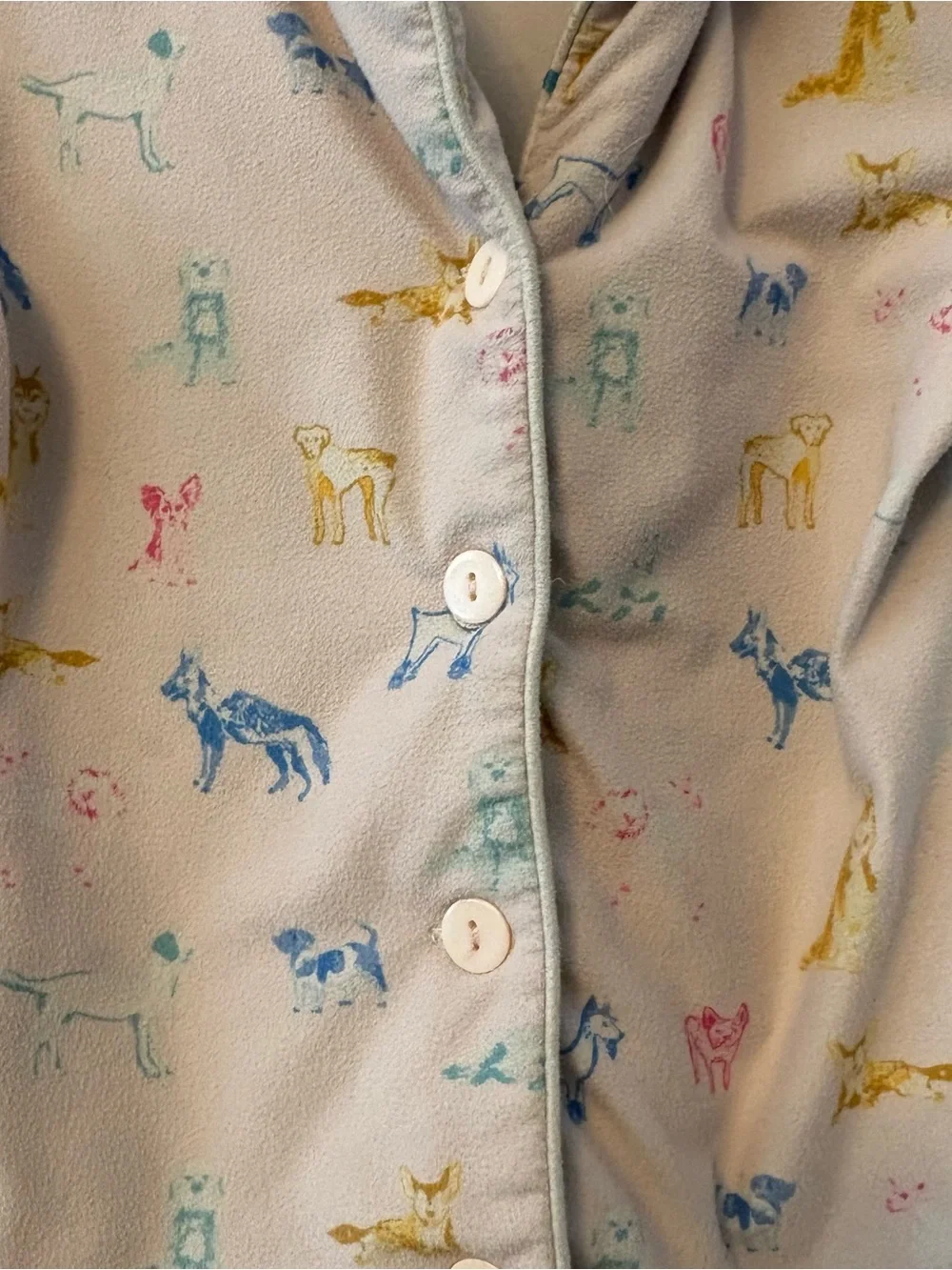 SweetHoney multicolored dog